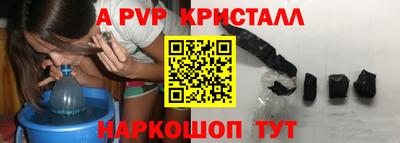 гидра Новозыбков
