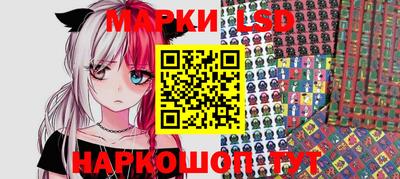 гидра Новозыбков