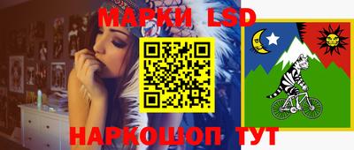 гидра Новозыбков