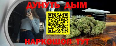 гидра Новозыбков