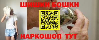 гидра Новозыбков