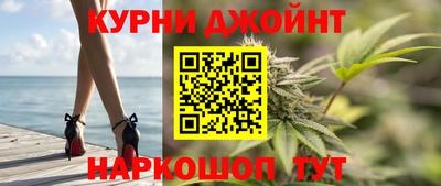 гидра Новозыбков