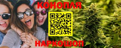 гидра Новозыбков