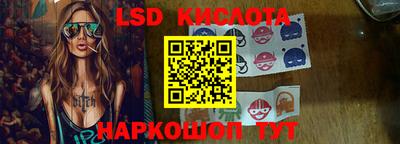 гидра Новозыбков