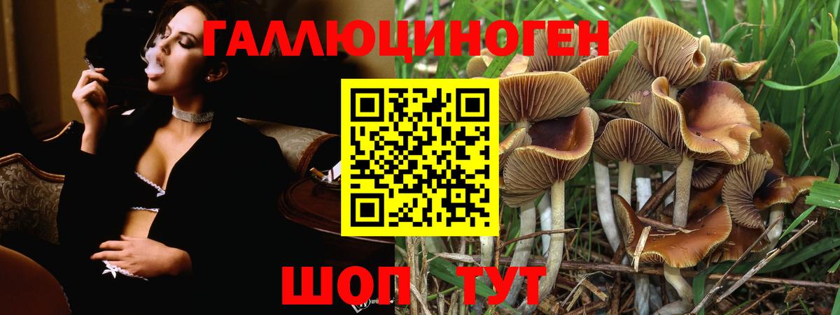Тихорецк  Галлюциногенные грибы MAGIC MUSHROOMS  Вход с VPN 
